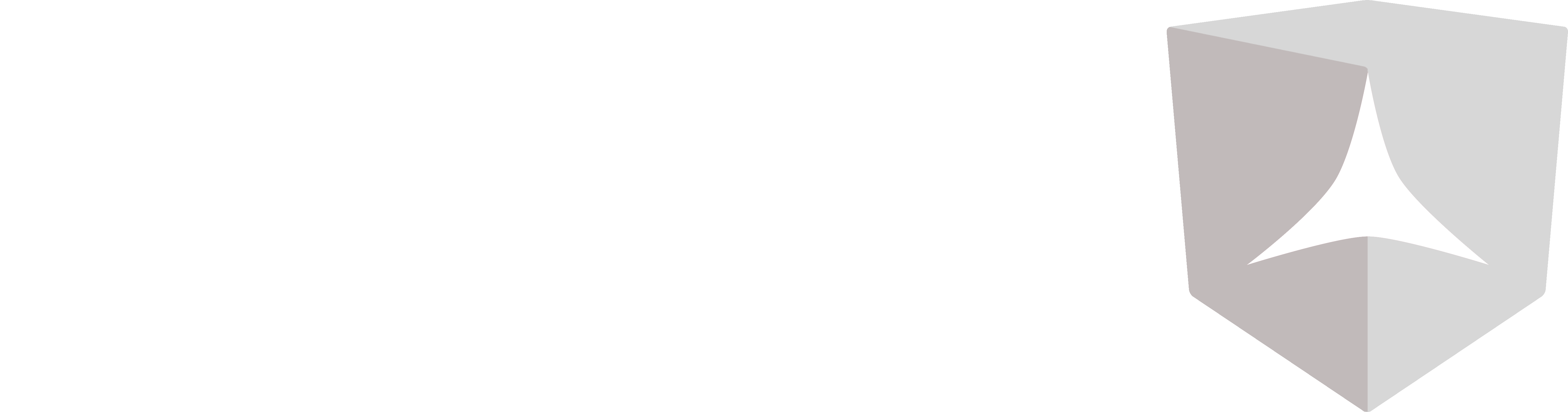 Drooms Logo