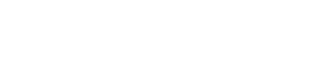 BNPPRE Logo 